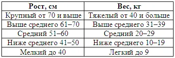 Абсолютные промеры отдельных статей собаки обычно недостаточны для сравнения - фото 81