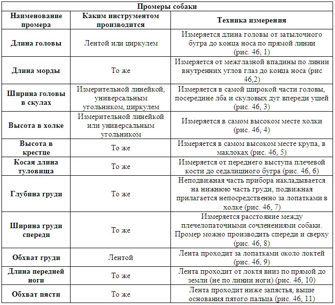 Абсолютные промеры отдельных статей собаки обычно недостаточны для сравнения - фото 82