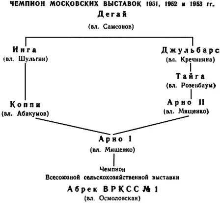 Чемпион Московских выставок 1951 1952 и 1953 гг Линия несомненно - фото 101