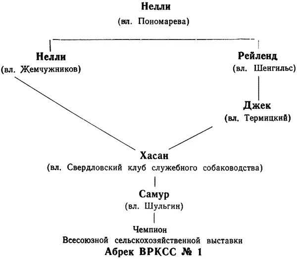 Победительница на Свердловских выставках 1949 и 1950 гг Примером введения в - фото 104