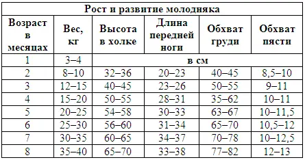 После рождения щенка можно отметить пять периодов его развития 1 Период - фото 117