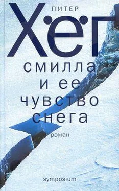 Питер Хёг Фрекен Смилла и её чувство снега (с картами 470x600) обложка книги