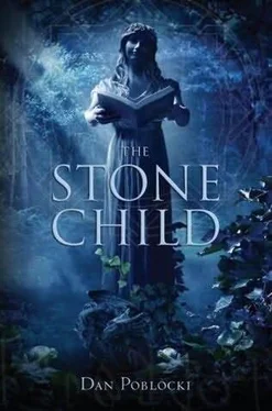 Dan Poblocki The Stone Child обложка книги