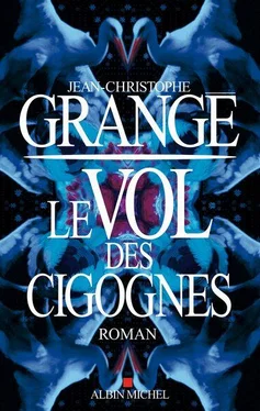 Jean-Christophe Grangé Le Vol des cigognes обложка книги