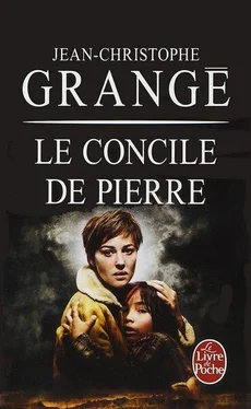 Jean-Christophe Grangé Le Сoncile de pierre обложка книги