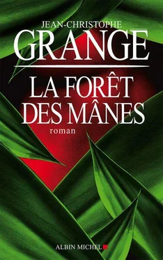 Jean-Christophe Grangé La Forêt des Mânes обложка книги