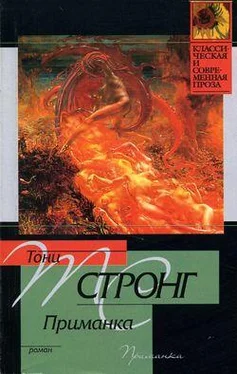 Тони Стронг Приманка обложка книги