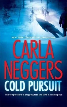 Carla Neggers Cold Pursuit обложка книги