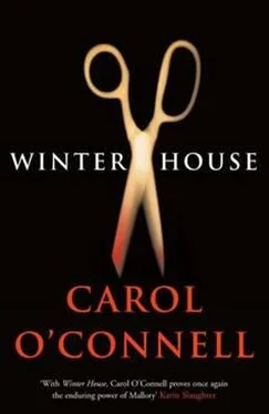 Carol O’Connell Winter House обложка книги
