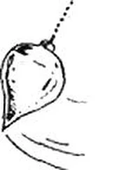 С. Блэк - Вуду в мегаполисе