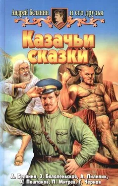 Андрей Белянин Казачьи сказки (Сборник)