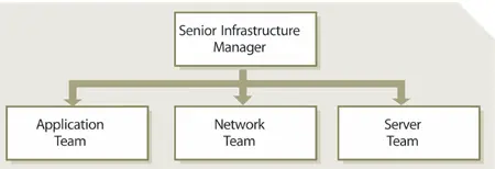 Figure 513 Simplified vertical view of an IT organization While the - фото 101