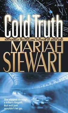 Mariah Stewart Cold Truth обложка книги