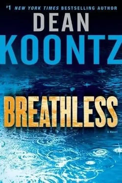 Dean Koontz Breathless обложка книги