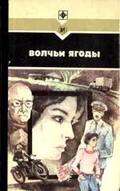 Леонид Залата Волчьи ягоды. Сборник обложка книги