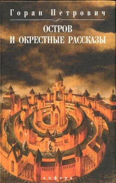 Горан Петрович Остров и окрестные рассказы обложка книги