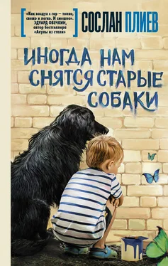 Сослан Плиев Иногда нам снятся старые собаки обложка книги