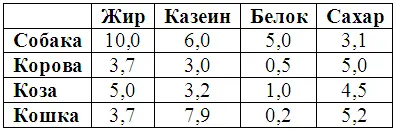 Приспособления для кормления Выбор приспособления для кормления щенков в - фото 6