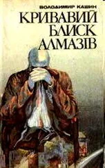 Володимир Кашин - Кривавий блиск алмазів
