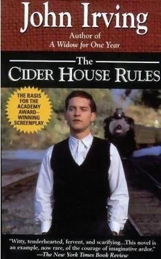 John Irving The Cider House Rules обложка книги