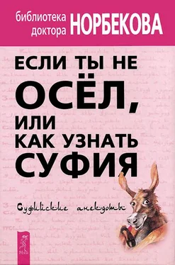 Мирзакарим Норбеков Если ты не осёл, или Как узнать суфия. Суфийские анекдоты обложка книги