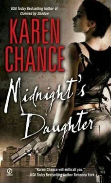 Karen Chance Midnight's Daughter обложка книги
