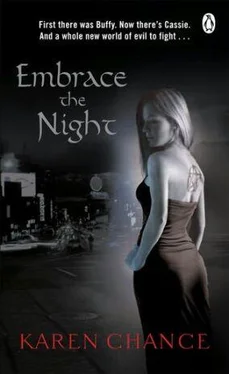 Karen Chance Embrace the Night