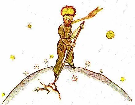 Cest une question de discipline me disait plus tard le petit prince Quand - фото 16