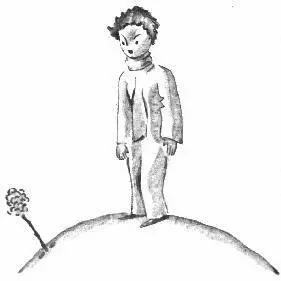 Le petit prince devina bien quelle nétait pas trop modeste mais elle était - фото 20