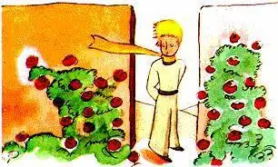 Le petit prince les regarda Elles ressemblaient toutes à sa fleur Qui - фото 37