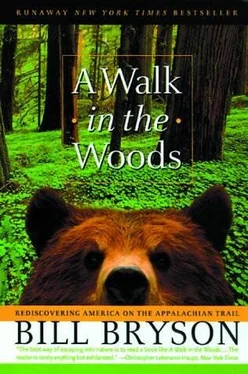 Bill Bryson A Walk In The Woods обложка книги