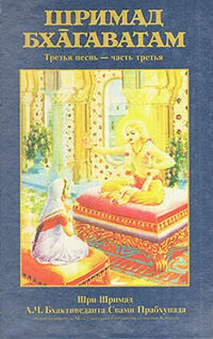 Свами Бхактиведанта А.Ч. Шримад Бхагаватам. Песнь 3. Статус кво. Часть 3 обложка книги