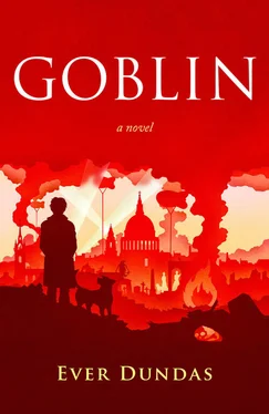 Ever Dundas Goblin обложка книги