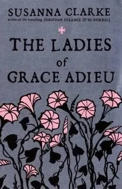 Susanna Clarke The Ladies of Grace Adieu обложка книги