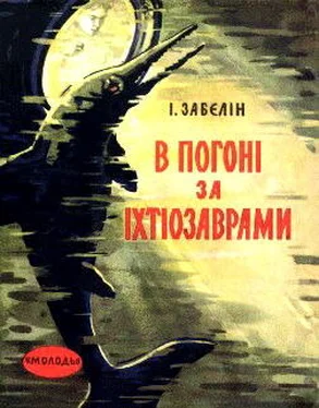 Ігор Забєлін В погоні за іхтіозаврами обложка книги