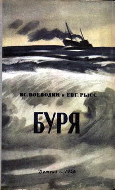 Всеволод Воеводин Буря обложка книги