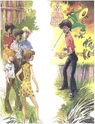 Владислав Крапивин - Бегство рогатых викингов