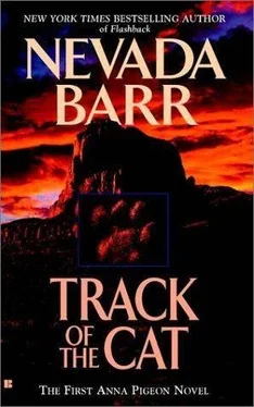 Nevada Barr Track Of The Cat