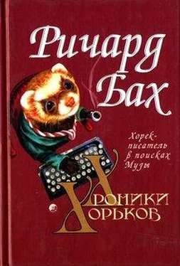 Ричард Бах Хорёк-писатель в поисках музы обложка книги