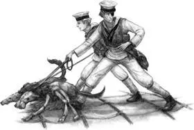 When he reached the spine Newkirk dropped his feed bag and grinned Mr - фото 16