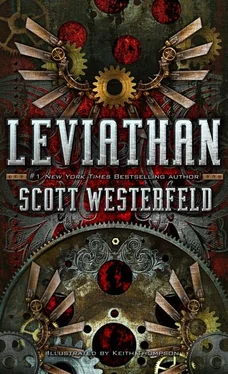 Scott Westerfeld Leviathan обложка книги