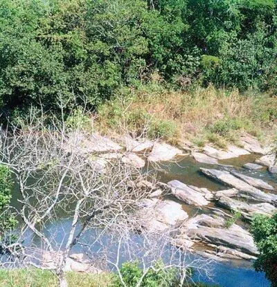 Корумба Туристические фирмы Camaloteтел 67 231 54 10 La Barca Tourтел - фото 158