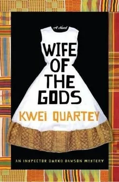 Kwei Quartey Wife of the Gods обложка книги