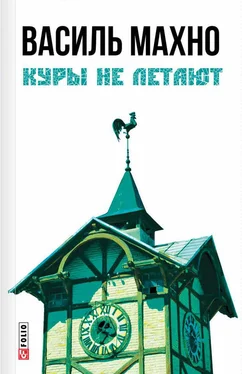 Василь Махно Куры не летают [сборник] обложка книги