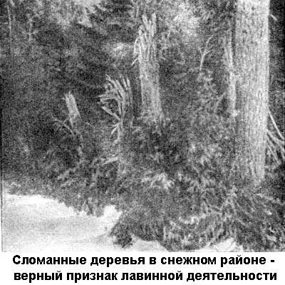 Однажды меня пригласили в горнолыжный район дать несколько советов Небольшая - фото 3