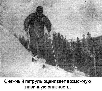 Инспектор Козиол ясно дал мне понять что он опекун и крестный отец первого - фото 6
