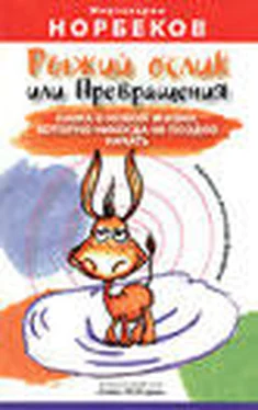 Мирзакарим Норбеков Рыжий ослик или Превращения: книга о новой жизни, которую никогда не поздно начать обложка книги