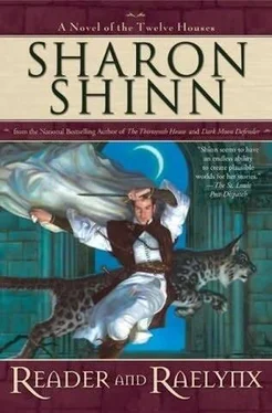 Sharon Shinn Reader And Raelynx обложка книги