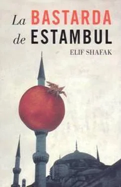 Elif Shafak La bastarda de Estambul