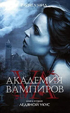 Райчел Мид Академия вампиров. Ледяной укус обложка книги